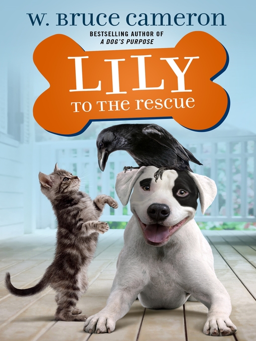 Cover image for Lily to the Rescue